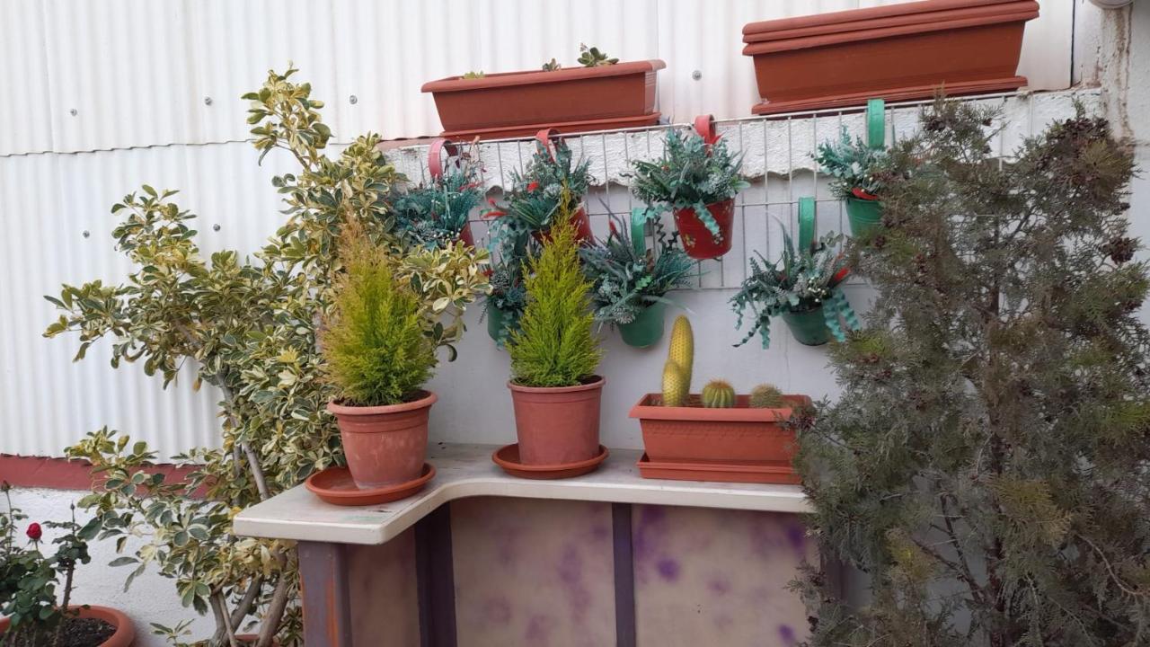 La Terraza Lejlighed Vinarós Eksteriør billede